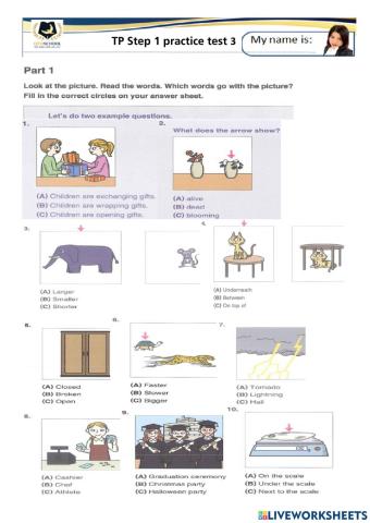 Teacher Jennifer TP S1 practice test 3