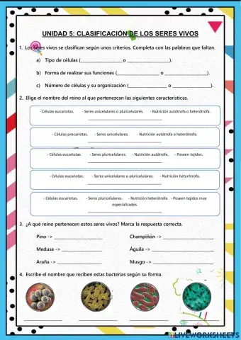 Clasificación de seres vivos