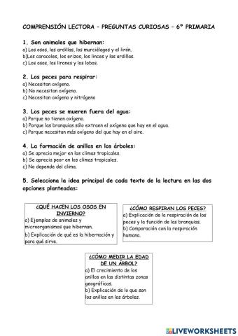 Comprensión lectora preguntas curiosas