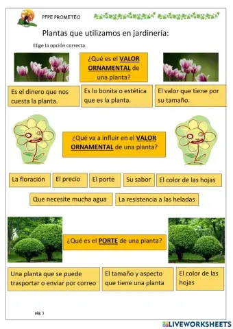 El valor estético de las plantas