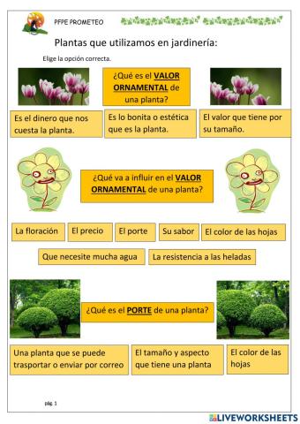 El valor estético de las plantas