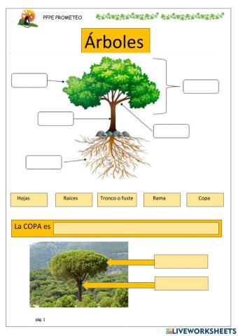 Árboles, su forma y porte
