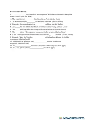 Besonderheiten der Pluralbildung