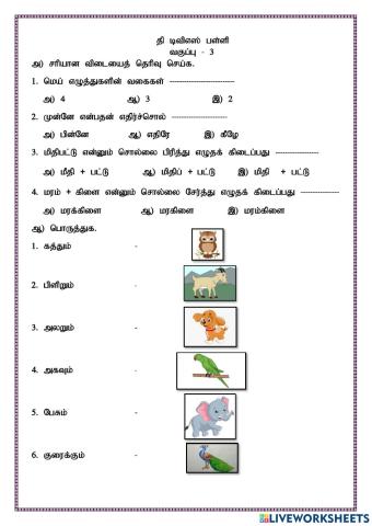 Class 3 Worksheet 2