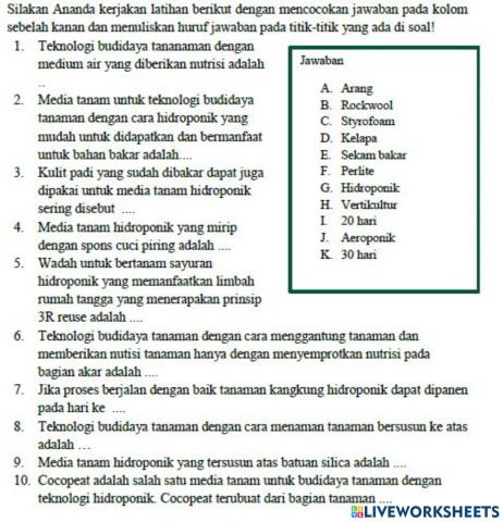 Evaluasi Teknologi Budidaya Sayuran