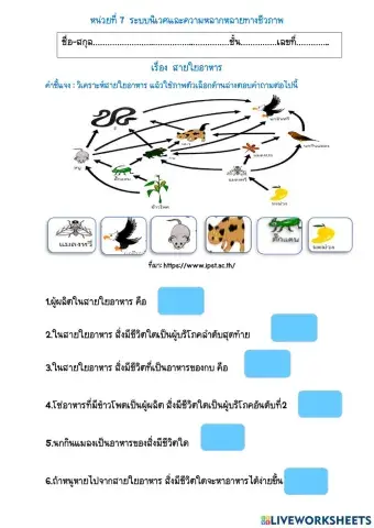 สายใยอาหาร