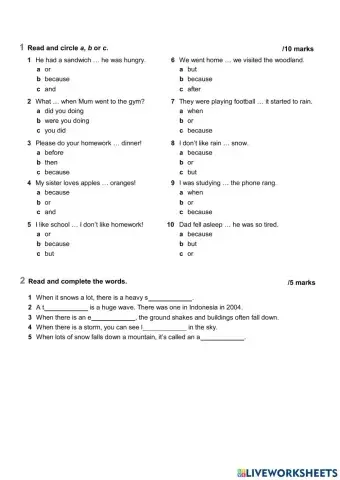 Pas simple and past continuous