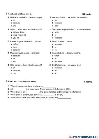 Pas simple and past continuous