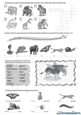 Link dla klasy 5 - Unit 5 Vocabulary