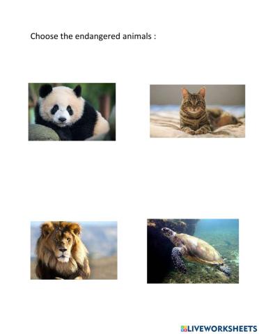 Endangered animals