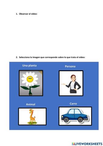 Cuento Una flor en la calle