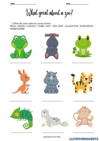 What's great about a zoo?