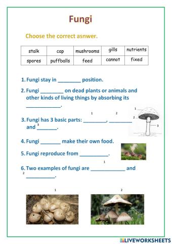 Fungi Plenary