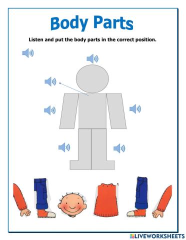 Body Parts Puzzle