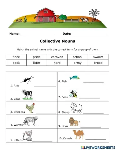 Collective Nouns (Animals)