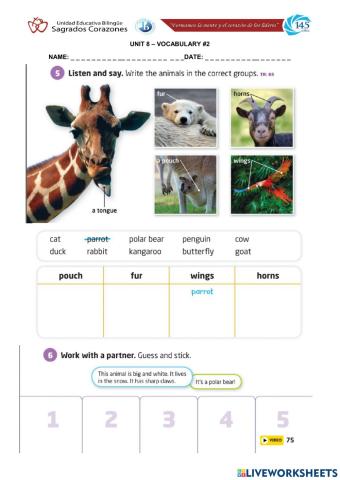 Animals Features Words