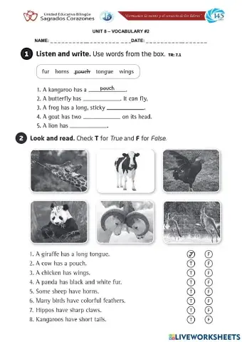 Animal Features Vocabulary