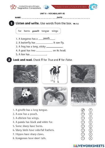 Animal Features Vocabulary
