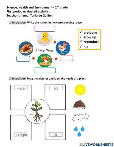 Living and non-living things