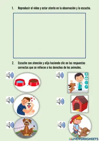 Tenencia responsable de las mascotas