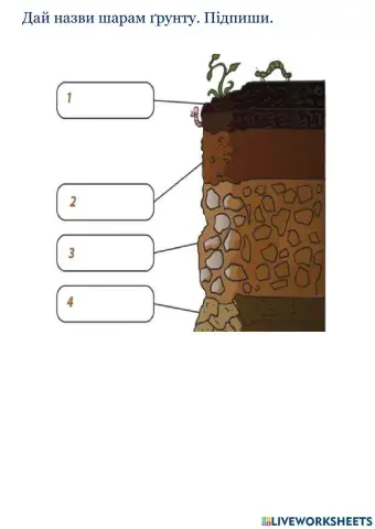 Навколишній світ