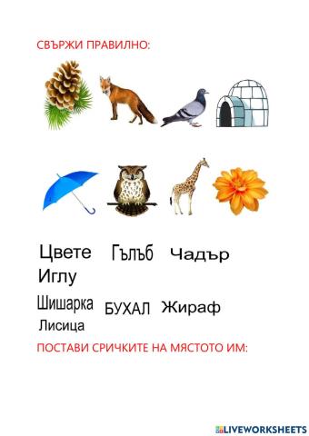 Логопедия