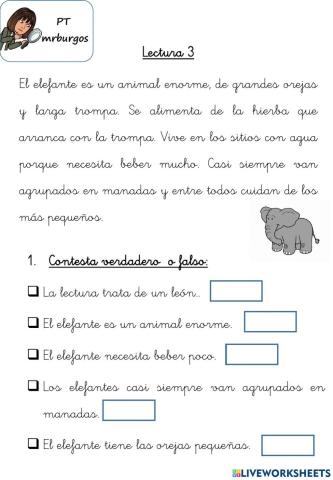 Lectura comprensiva 3