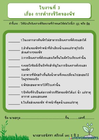 ใบงานที่ 3 การดำรงชีวิตของพืช