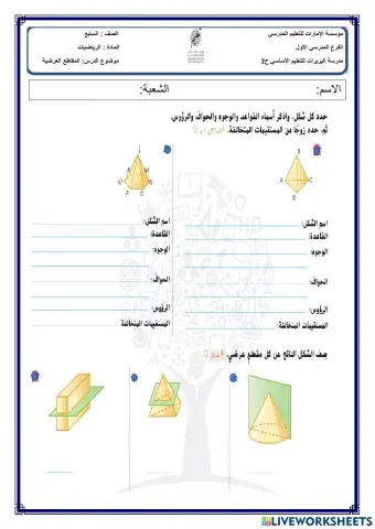 المقاطع العرضية