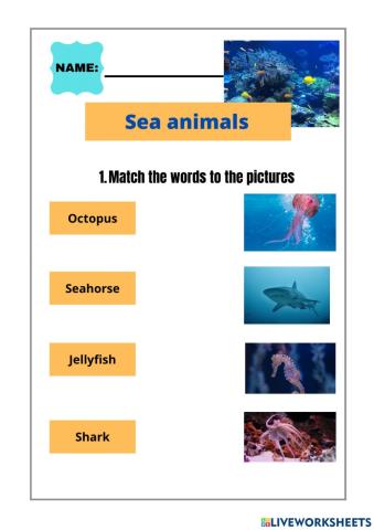 Sea animals
