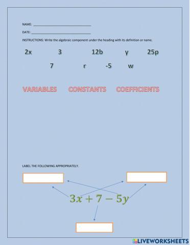 Algebraic terms components