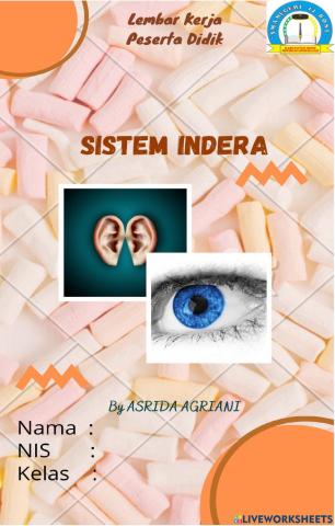 Lkpd x.2 sistem indera