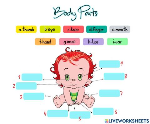 Body Parts