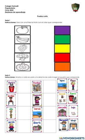 Prueba Corta Destrezas de Aprendizaje 