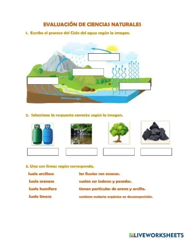 Evaluación de Ciencias Naturales