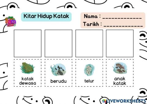 Kitar Hidup Katak dan Rama-rama