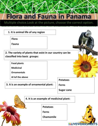 Flora and Fauna in Panama