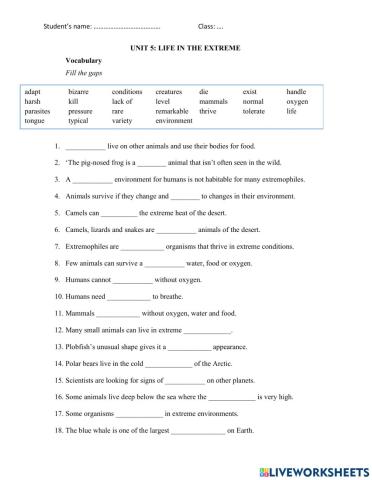 Unit 5 Impact 2 Revision: Vocabulary & Grammar