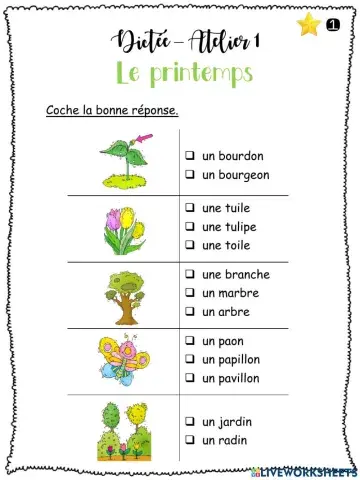 Dictée - Le printemps - G1