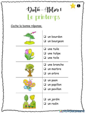 Dictée - Le printemps - G1