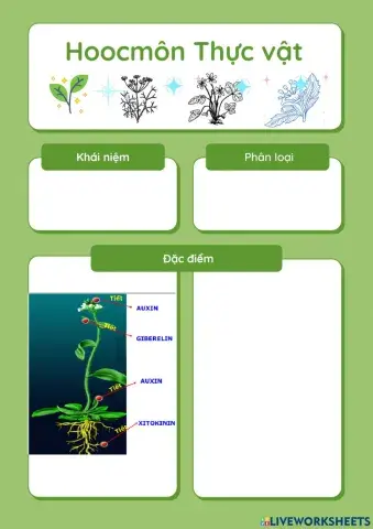 Hoocmôn thực vật