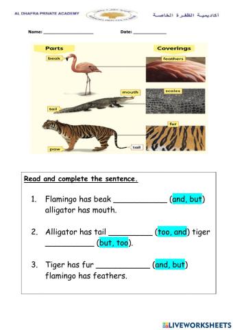 Compare and contrast: and, too, but
