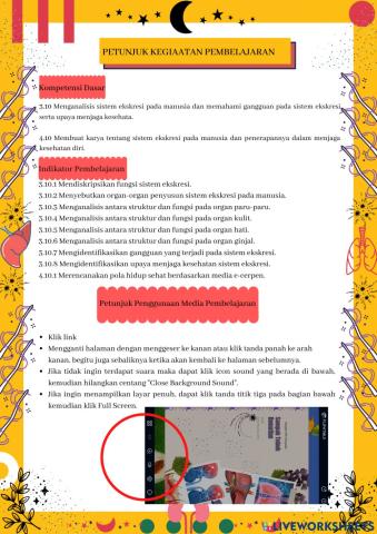 Petunjuk Kegiatan Pembelajaran