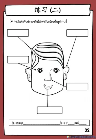 第六课：我的眼睛很大