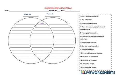 Animal vs plant cells