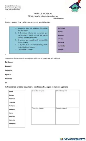 Morfología de las palabras