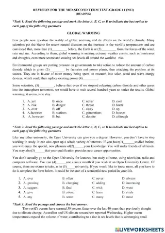 Revision for the mid-second term test-grade 11 (n03)