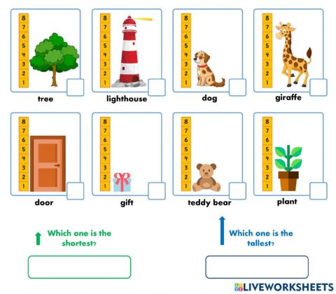 Measurement: how tall?