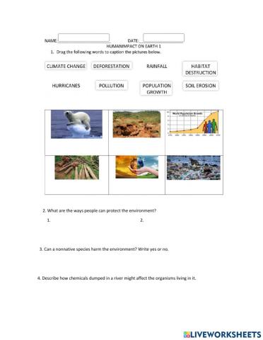 How do humans impact ecosystems?