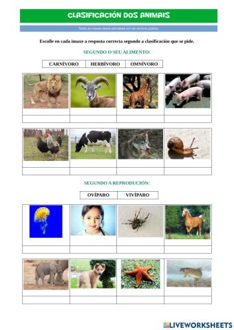 Clasificación dos animais